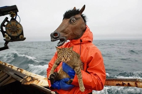 horsehead holding cat fishingboat