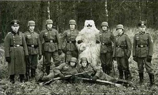 german nazis posing polar bear suit wwii